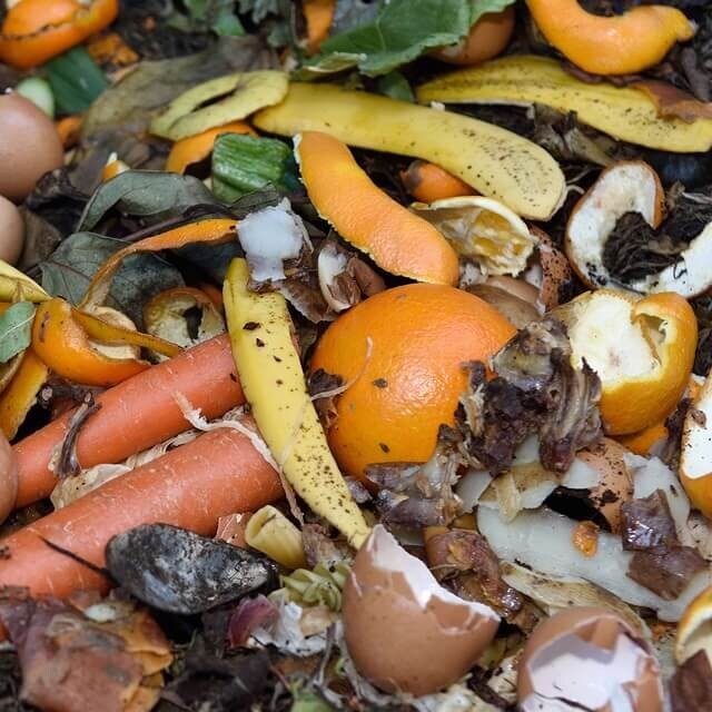 Gaspillage alimentaire